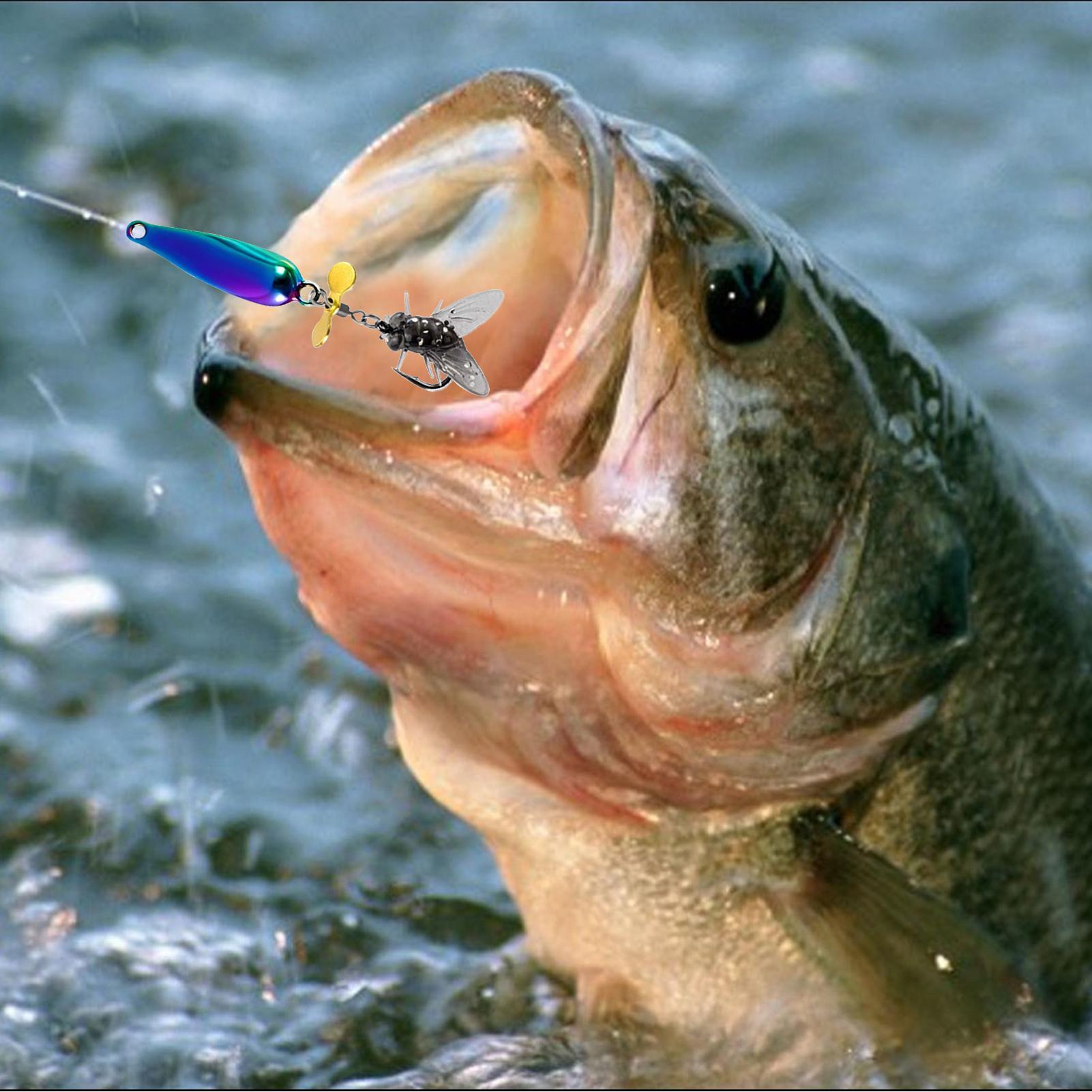Vissen Spinner Baits Zoutwater - Heavy Equipment Management recensie en prijs